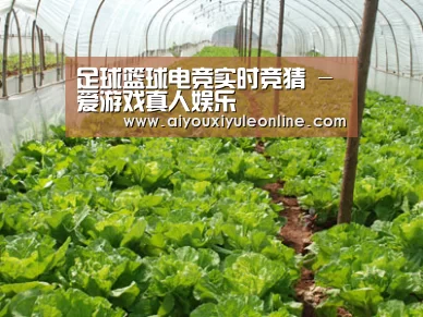 种植基地五