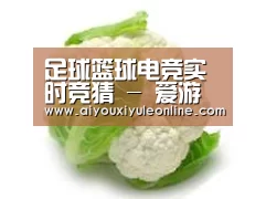 产品名称九