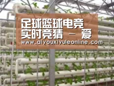 环境展示六