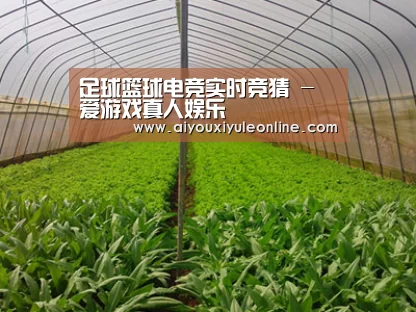 种植基地四