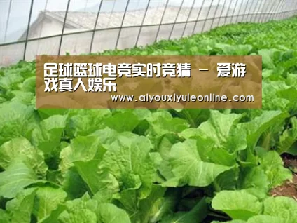种植基地一