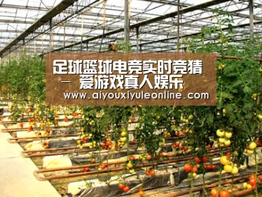 种植基地二(图1)
